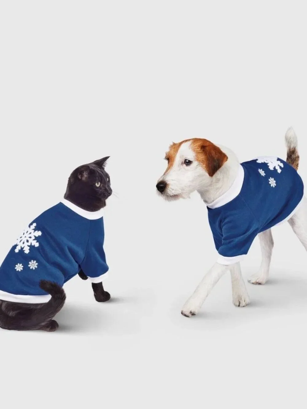 Gingerbread Playhouse Blue Snowflake Dog Sweatshirt - Wondershop Medium